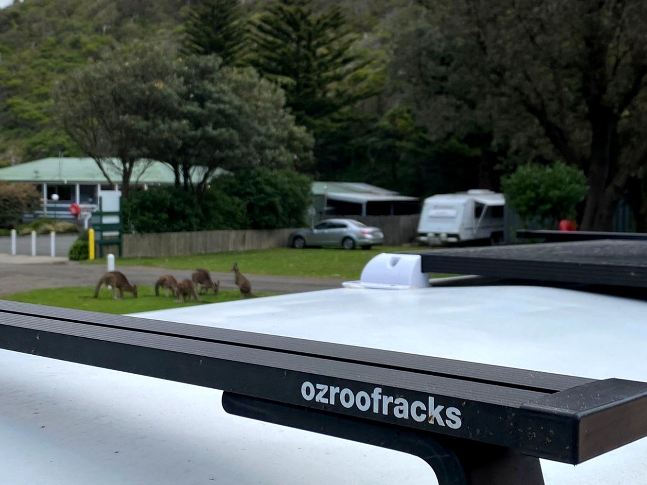 Ozroofracks | Vw Transporter Roof Racks
